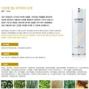 브랜드샵&천연