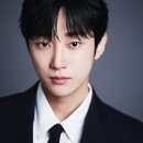 진영 티브이데일리