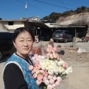소백꽃집 네이버블로그