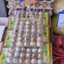 대송상회 이미지