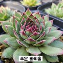 g0183 네이버블로그