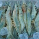 서희수산 이미지