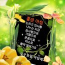 수요일 이미지