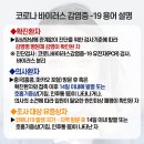 속초시청 이미지