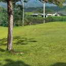 파스크린골프연습장 이미지