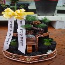 최금숙산부인과 네이버블로그
