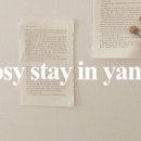 스테이-오롯 이미지