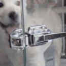 ST메디칼 이미지