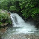 밥이대장 이미지