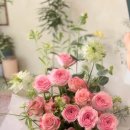 시아의정원