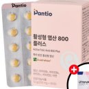 보령약국 이미지