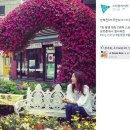 써니스타일 - 속초시 조양로 104 | 써니스타일