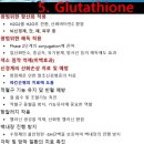 마이어스의원 이미지