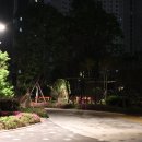 [김해 안동 술집] 김복남맥주 / 안동 푸르지오점 / 내돈내산