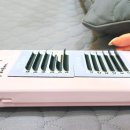 네추럴LED연장 잘 하는 유성 아미부띠끄(맞춤형시술)