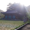 명주군왕릉 이미지