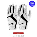 크린코리아 세탁전문점 | 나이키코리아 듀라필 X 남성 합피 골프장갑 (2장 1세트)