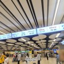 하늘마음바이오 | 제주도항공권 예약방법 김포공항 국내선 탑승수속 제주항공 후기 바이오등록
