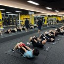 드래곤복싱체육관 이미지