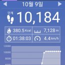 한양도성 잇기순성(낙산구간),한양도성문화제 코로나19극복기원