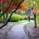 곰배령가든 이미지