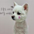 꾸야미용실