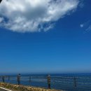 우주카서비스 | 훗카이도 삿포로 렌트카 예약 6인승 카모아 할인코드 대여 후기