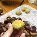 재철농장 이미지