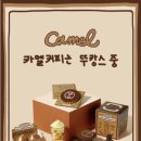 드림파인더