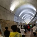 진남체육공원 주경기장 | 2026 제20회 여수마라톤 코스 분석: 10km/5km 변경 정보와 하프 완주자가 전하는 실전 꿀팁