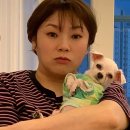 햇님이네 이미지