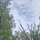 우면산6-13 이미지