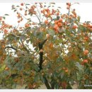 시월온천 이미지