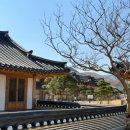 망상리조트 스낵카페 이미지