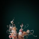 모나플로스 이미지