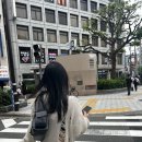 쿠모헤어