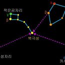 작은곰자리 - 전주시 덕진구 명륜2길 11-10 | 작은곰자리