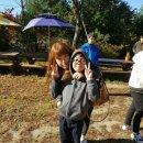 가평연리지 이미지