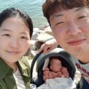 풍년수산회센타 네이버블로그