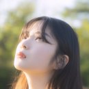 이풀잎