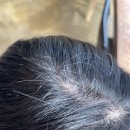 애플헤어 이미지