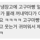 아가빵