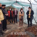 망성면행정복지센터 이미지