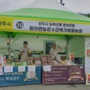 영일대청과