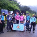 가지산(경남울주.밀양.경북청도)해발1240m 이미지