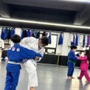 태전 유도 멀티짐 이미지