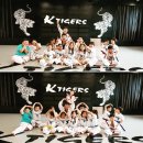 리틀K타이거즈 태권도장 이미지