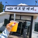 대포칼제비 이미지