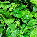 보청기프로 대구서부센타 | 청력저하원인? 대구 대명동 보청기 전문센터 방문 후기!