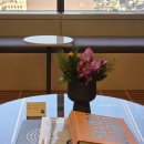 압구정광명안경 | [후기] 렌즈삽입술_강남 이오스안과